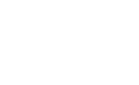 Logo Apivia Courtage